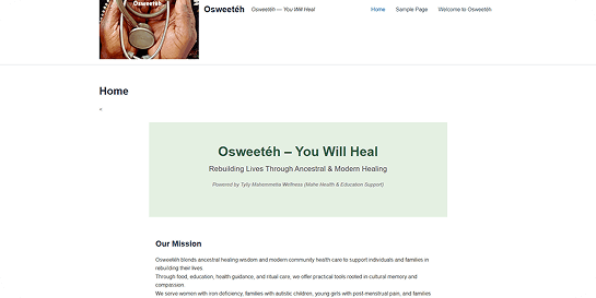 Outdated Vaughan business website before custom development